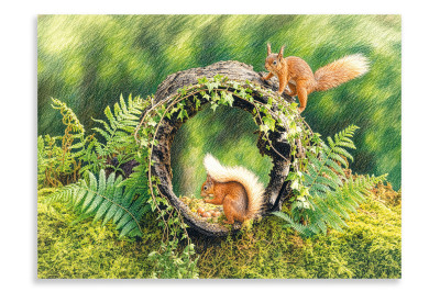 Playful Red Squirrels Scotland - Artistic
